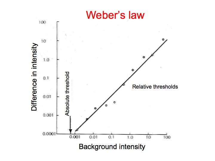 webers law definition